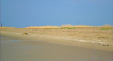 Ferien in Otterndorf - Strandeindr�cke